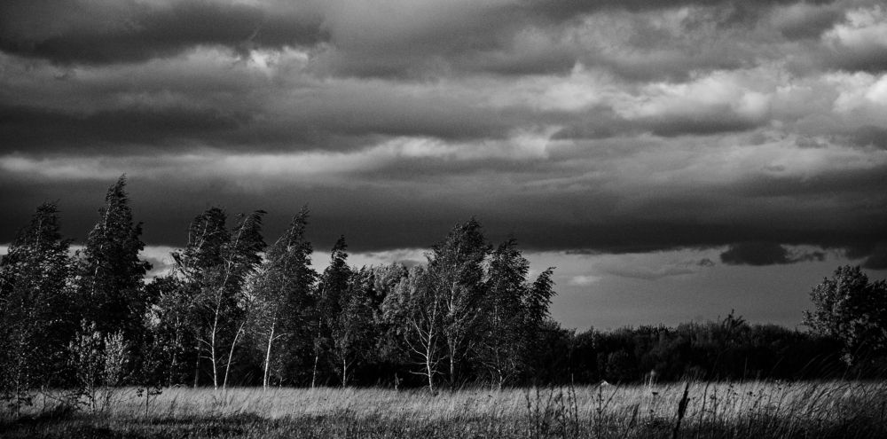 Photograph by Виталий Дрынов