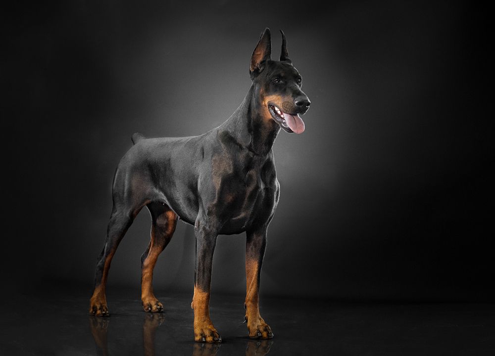 Photograph by Дина Колдомова