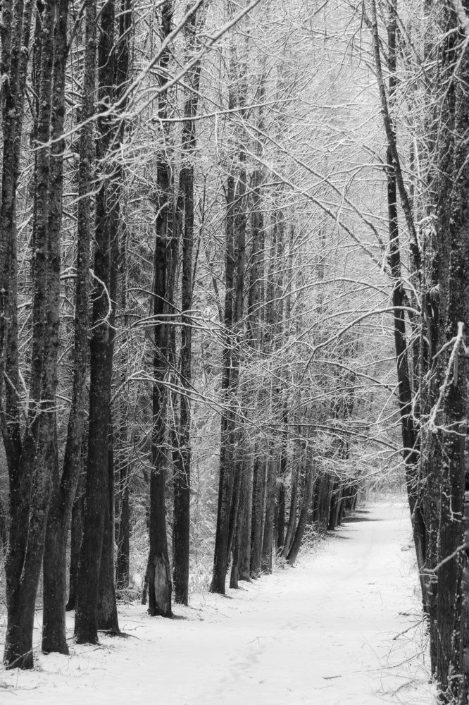 Фотография автора Тамара Караваева