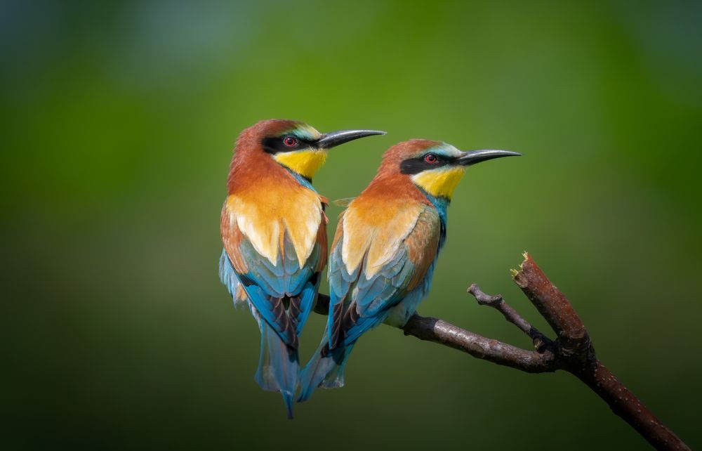 Photograph by Plekhanov Alexander