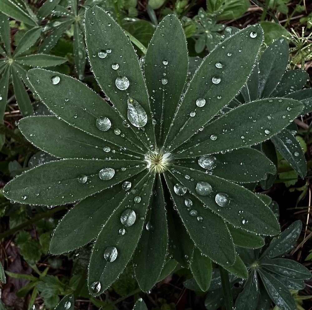 Photograph by Екатерина Овсянникова