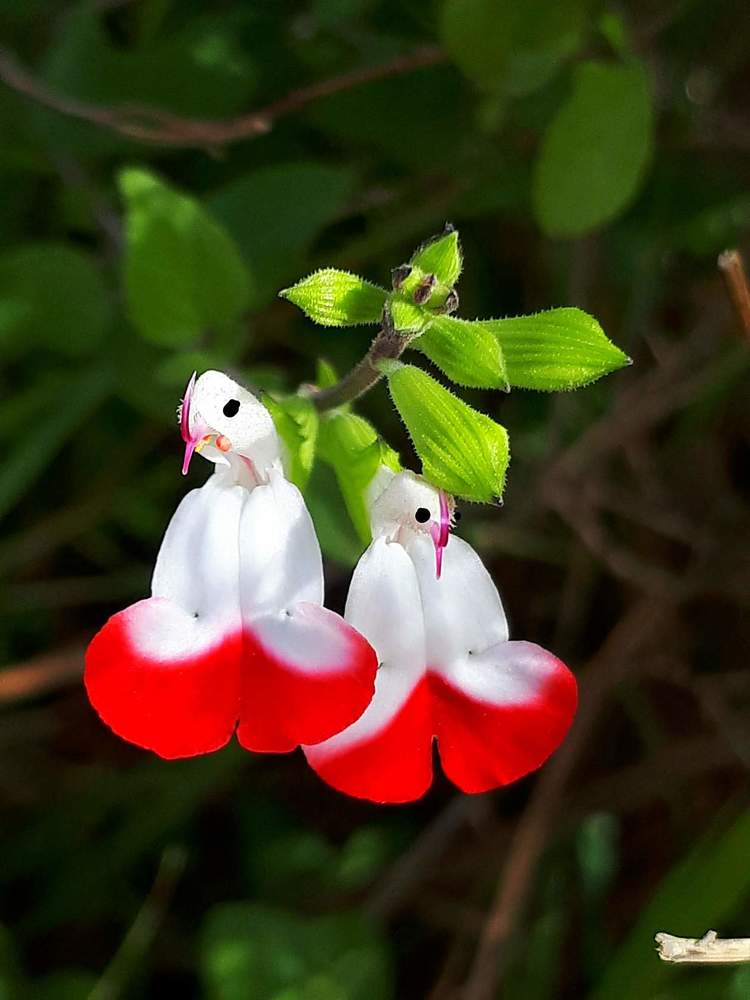 Photograph by virgilija motejunaite