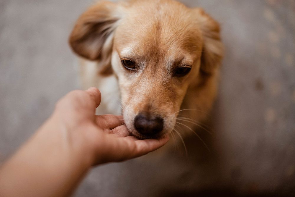 Photograph by Татьяна Цолина