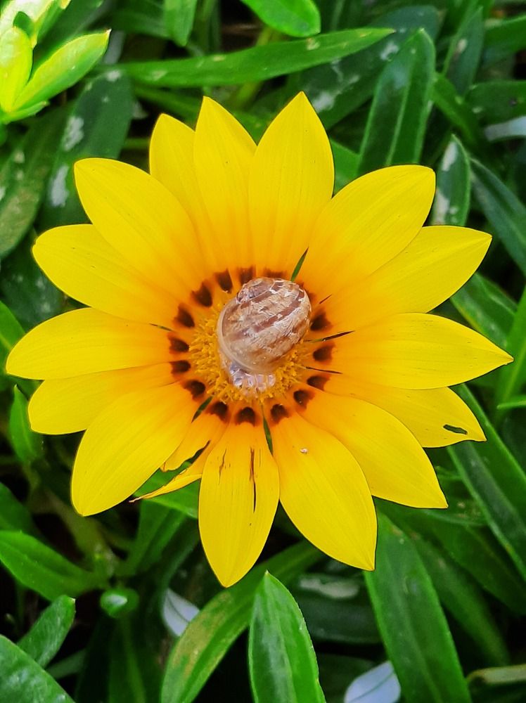 Photograph by virgilija motejunaite