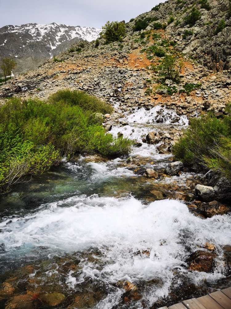 Photograph by  Ümit