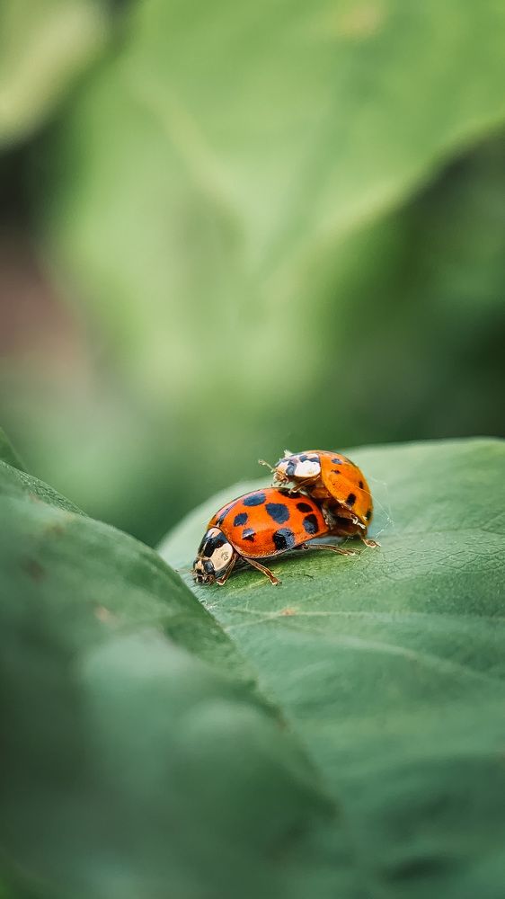 Photograph by Наталья Ключинская