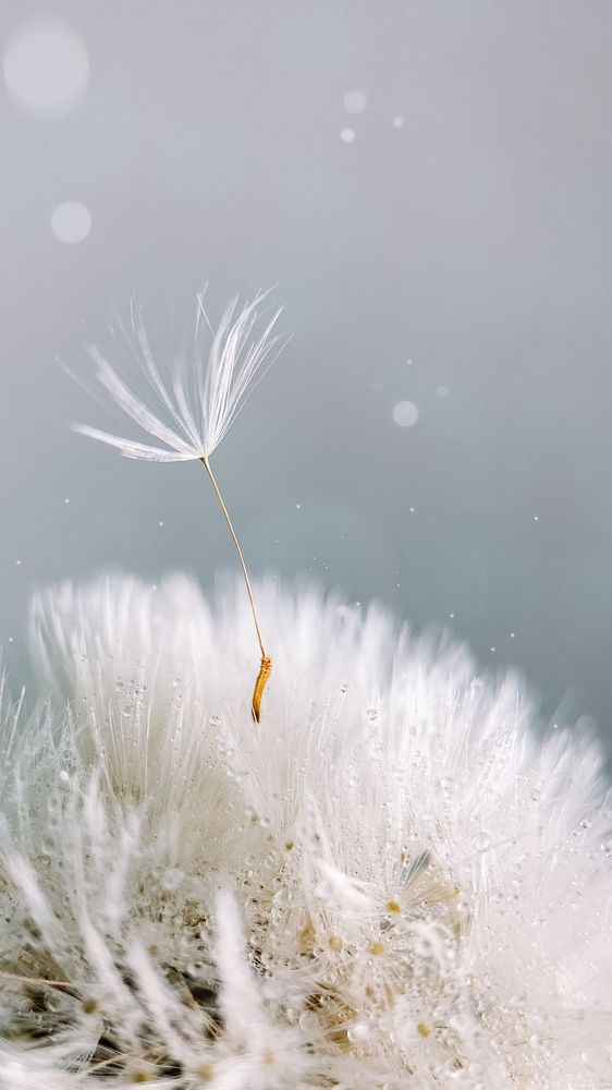 Photograph by Наталья Ключинская