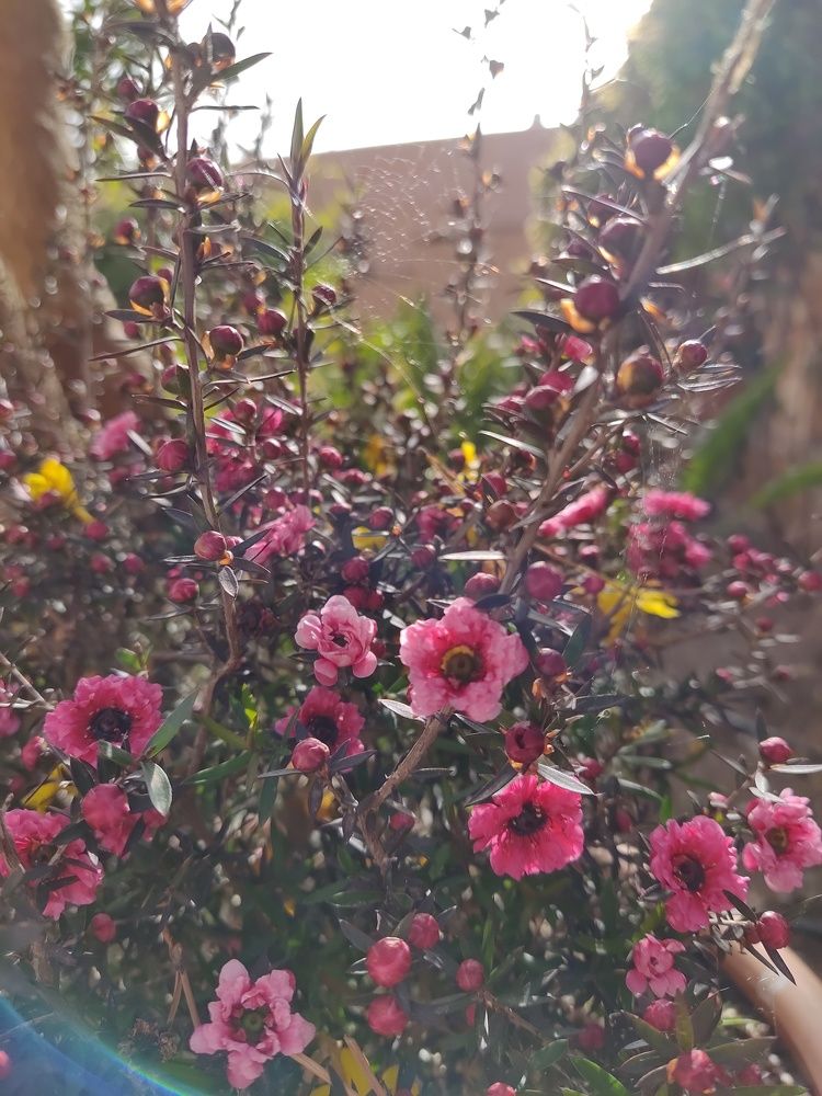 Photograph by Елена