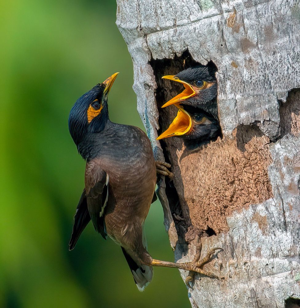 Photograph by Vinayak V