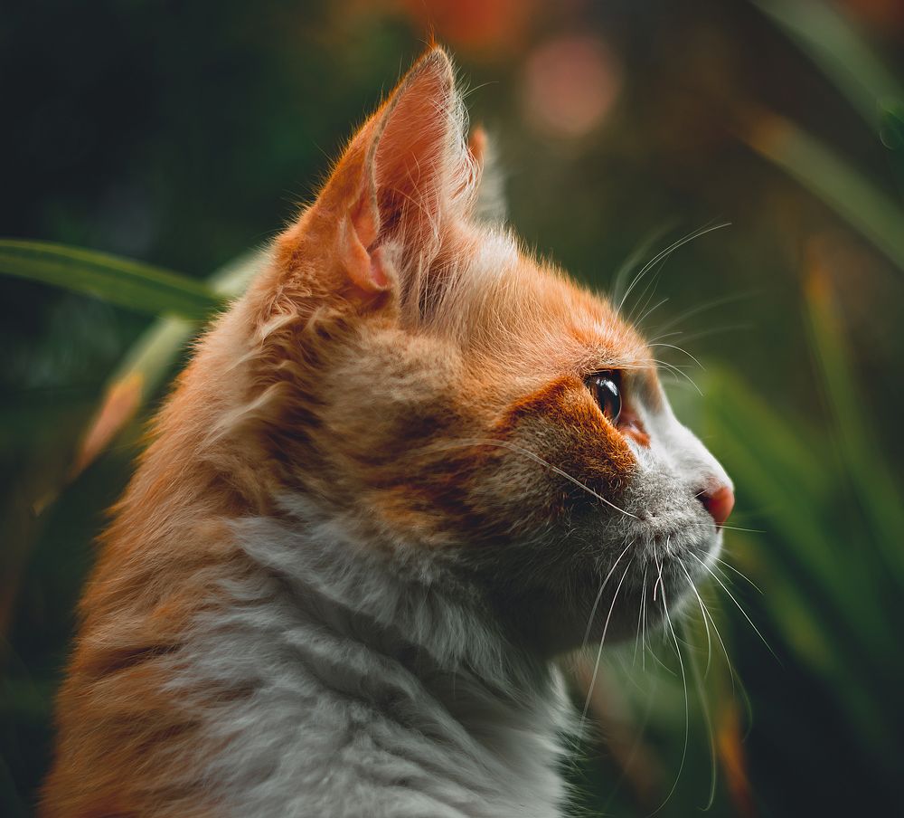 Photograph by Александр Плисик