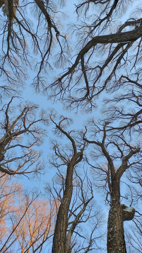 Photograph by Наталья Соловьева