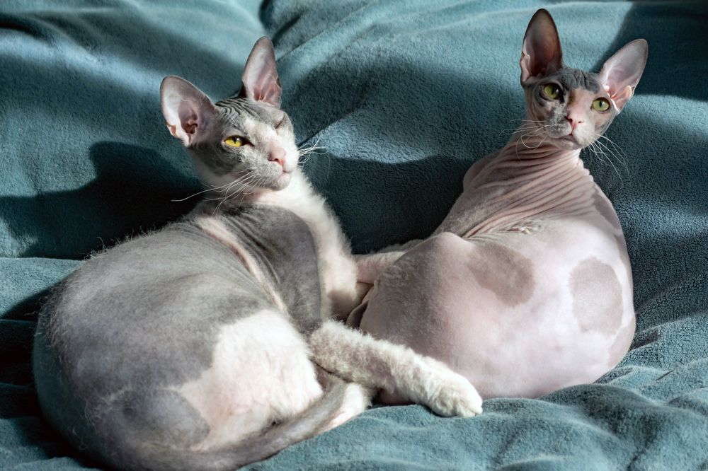 Photograph by Наталья Вялых