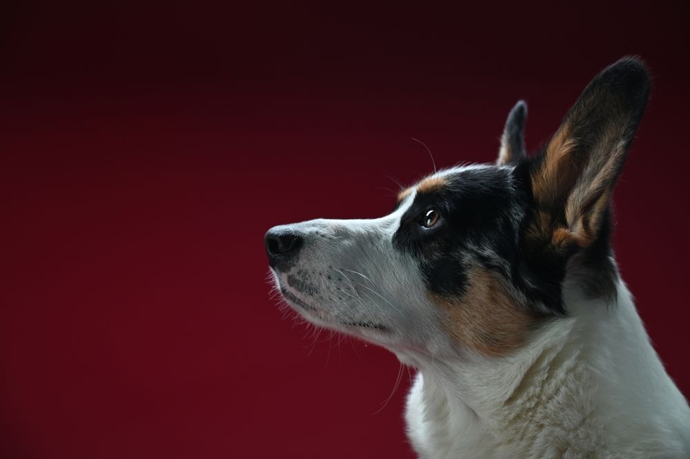 Photograph by Сергей Вальков