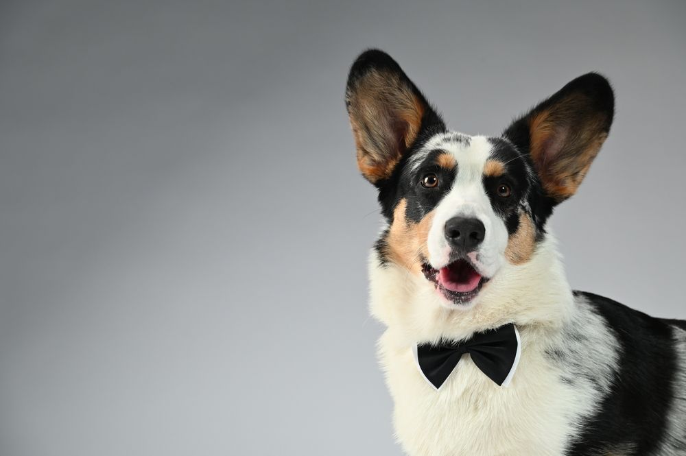 Photograph by Сергей Вальков