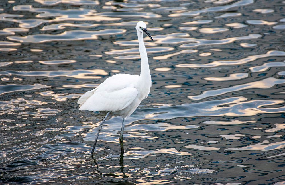 Photograph by Наталья Вялых