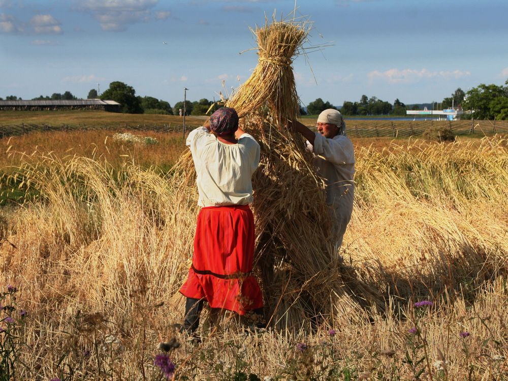 Photograph by вячеслав милов