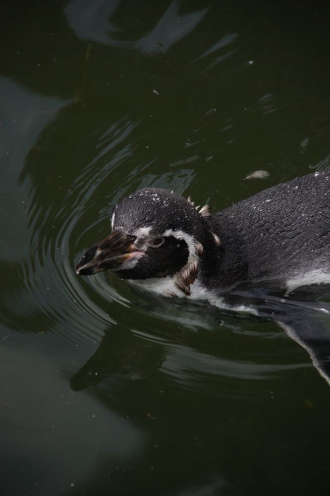 Photograph by Alena Vaganova