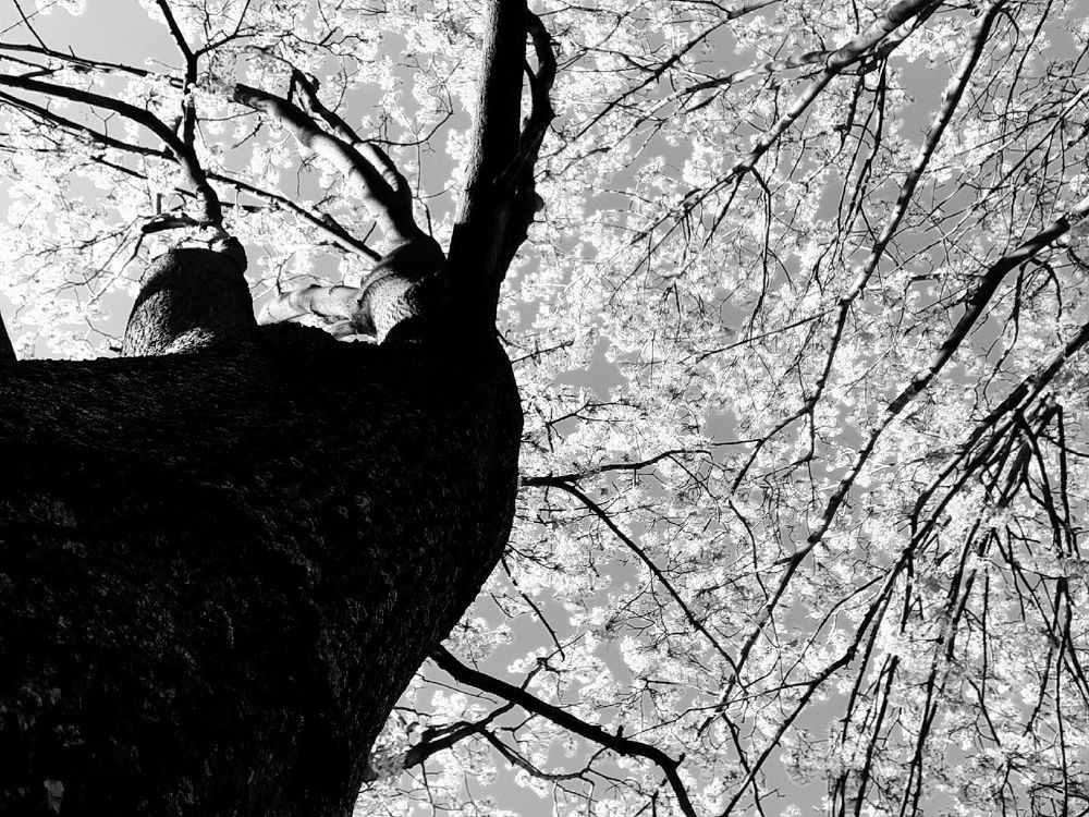 Photograph by Евгения Ульянова