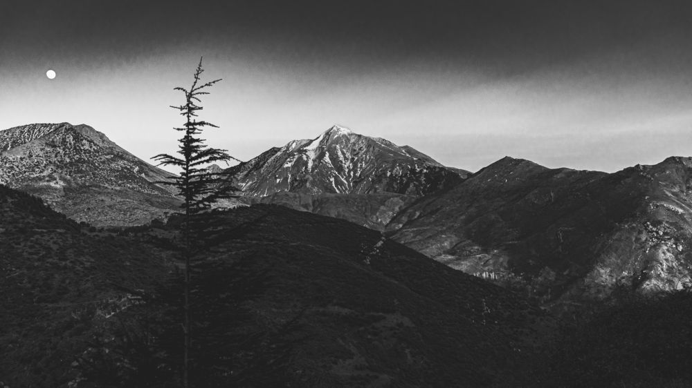 Photograph by MADJID MESSAOUD KHELIFI