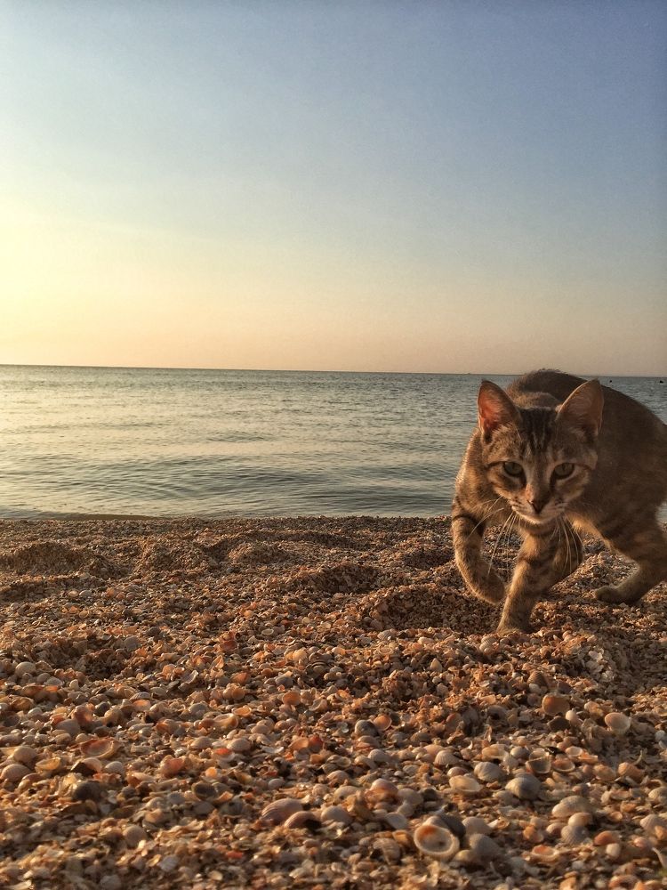 Photograph by Никита Ермаков