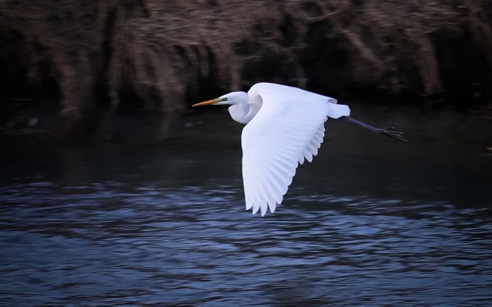 Фотография автора Flegner Calin