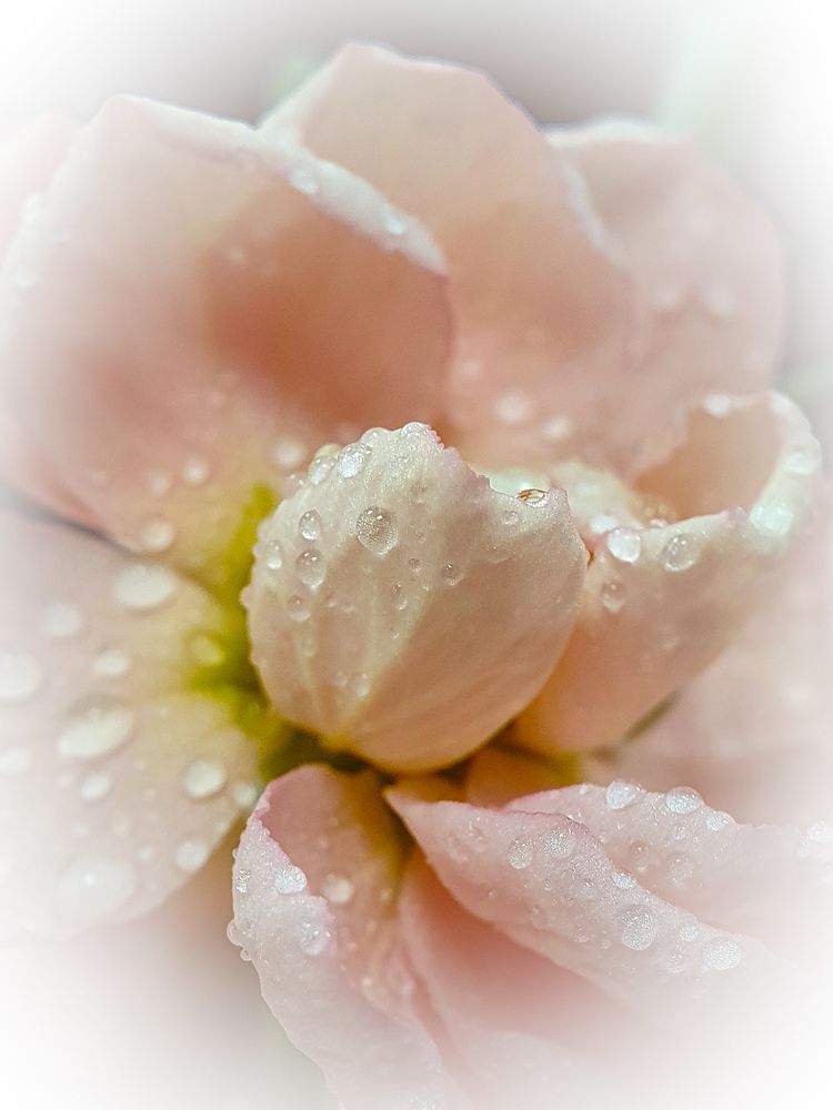 Фотография автора Юлия Таран