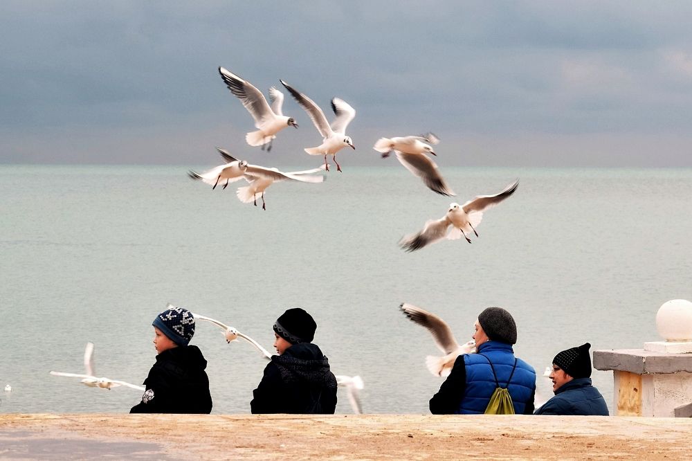 Photograph by Татьяна Помогалова