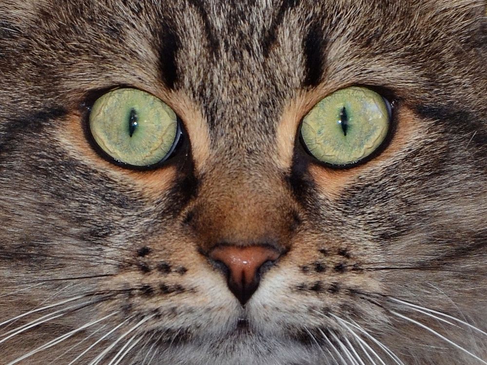 Photograph by Константин Мишнаевский