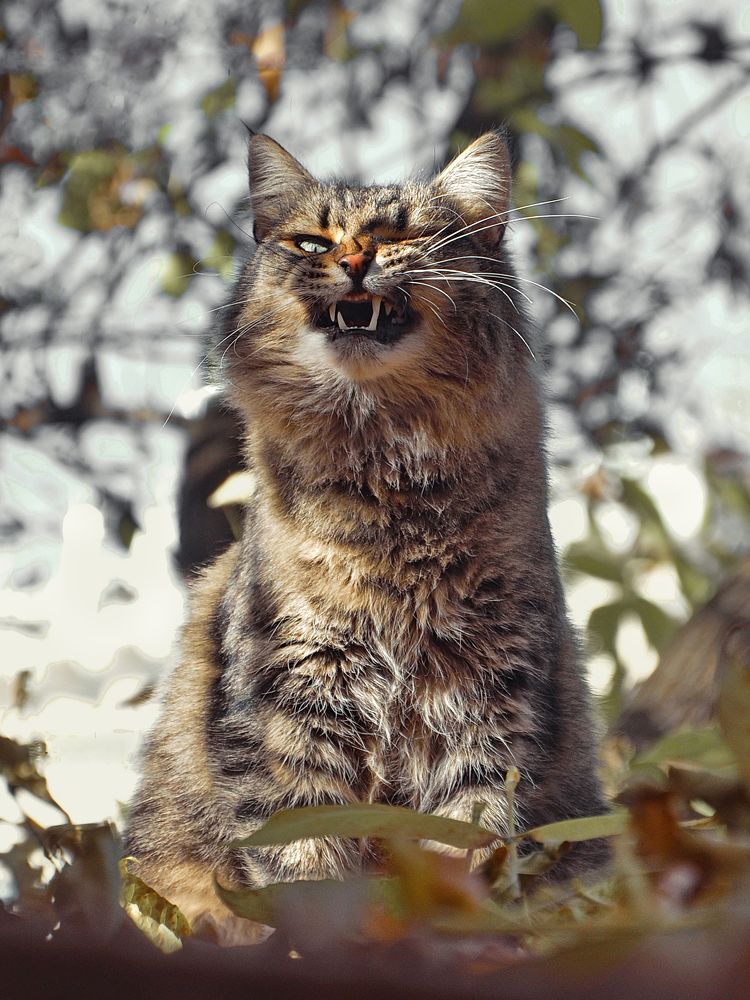 Photograph by Константин Мишнаевский