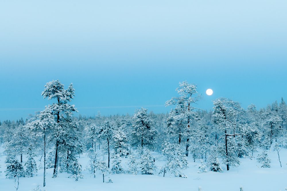 Photograph by Алексей Ильин