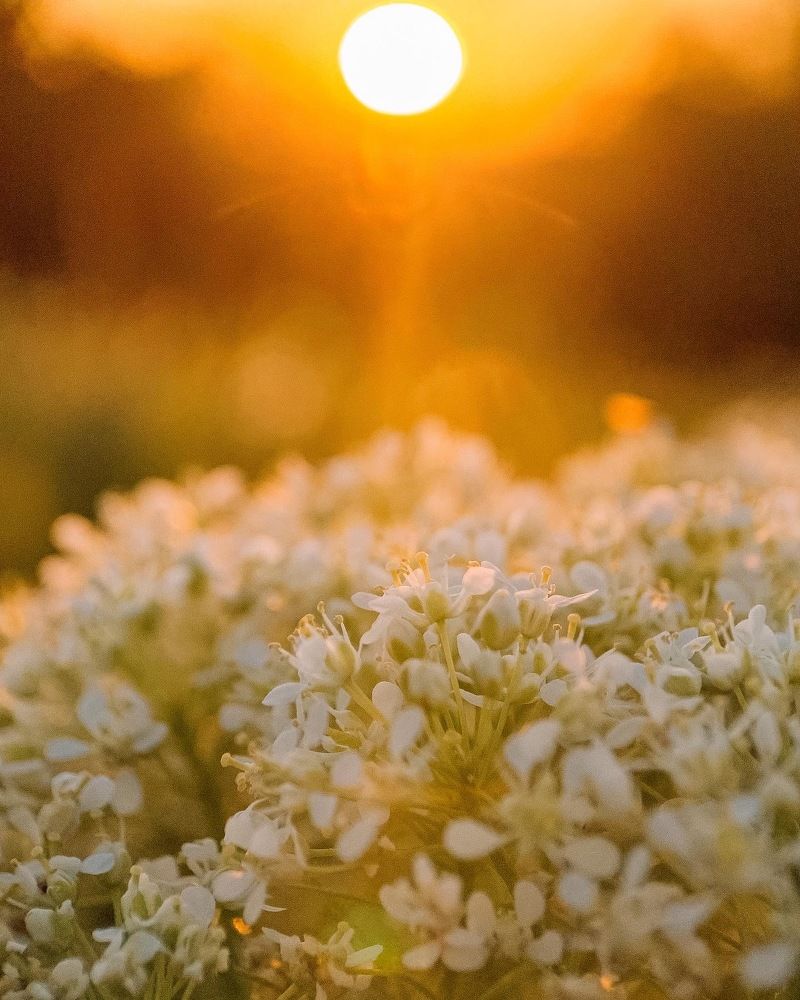 Photograph by Наталья Ключинская