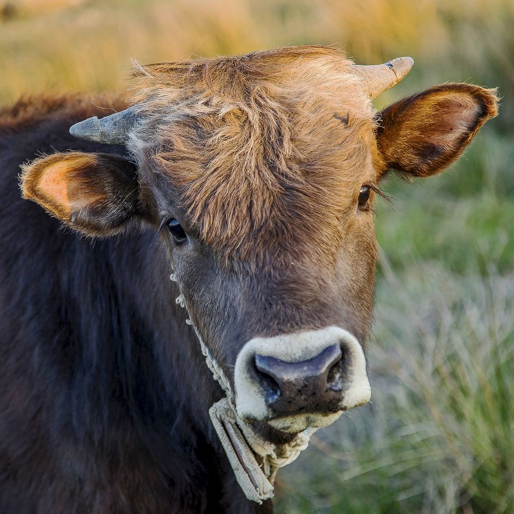 Photograph by Алексей Окунеев