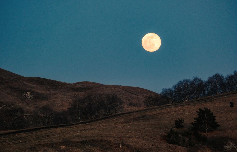 Photograph by Natali Bol