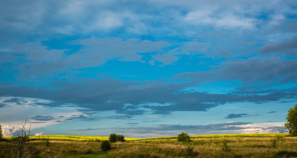 Photograph by Ирина Кошлюнова