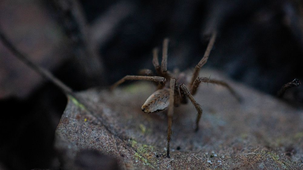 Photograph by Ирина Кошлюнова