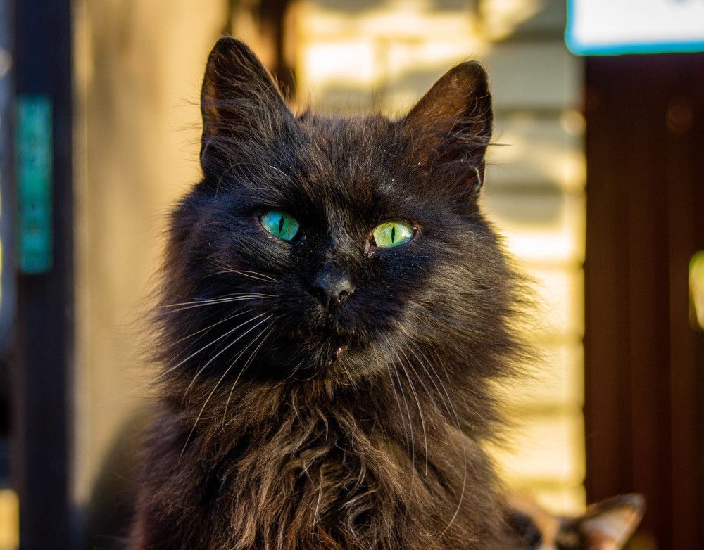 Photograph by Ирина Кошлюнова