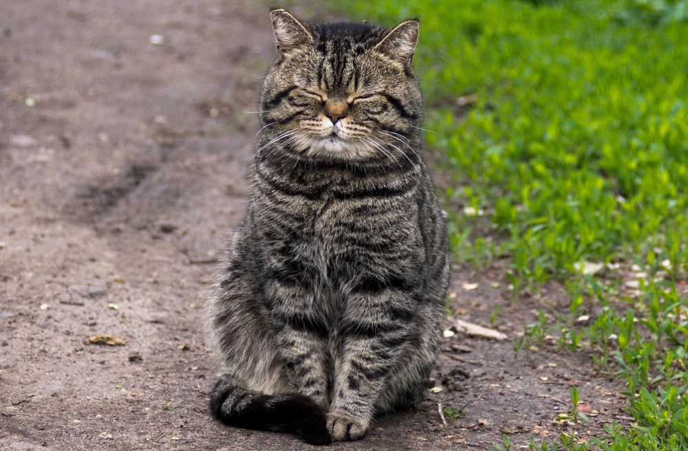 Photograph by Ирина Кошлюнова