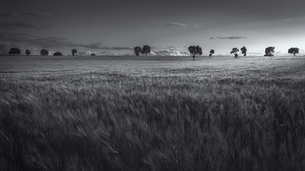 Photograph by Alberto Alonso