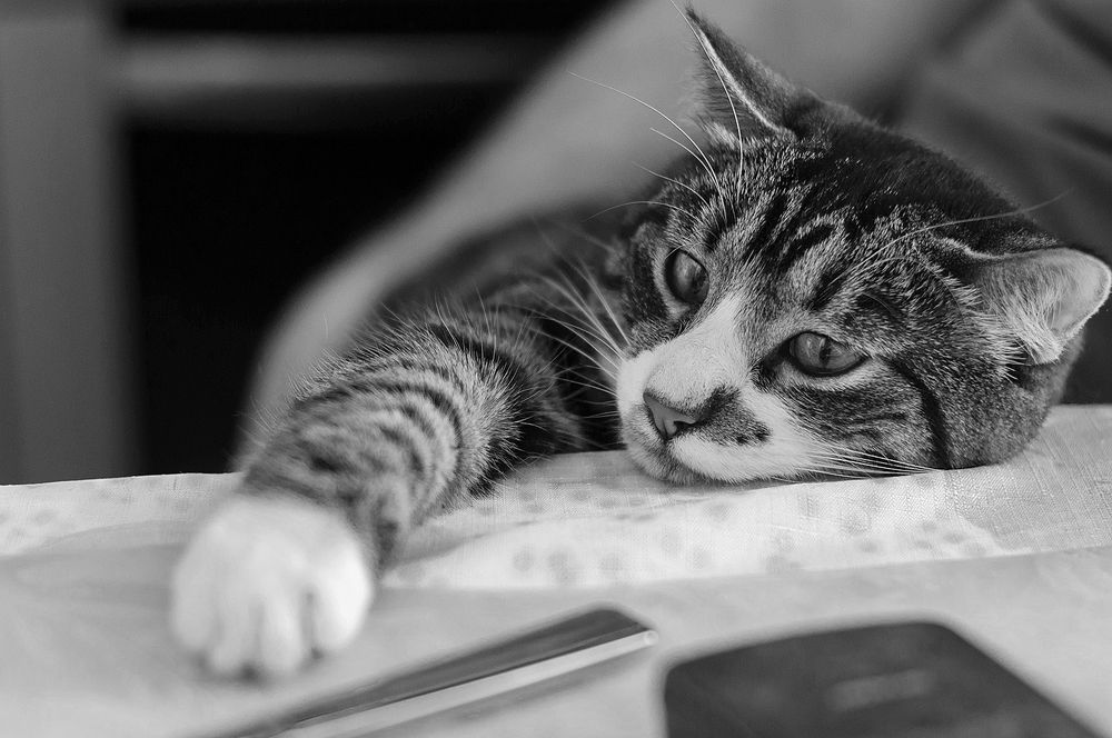 Photograph by Yulia