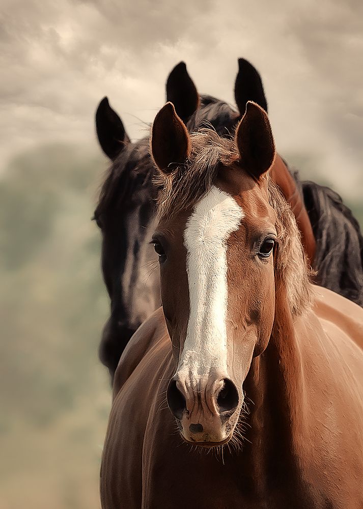 Photograph by Диана Кочнова