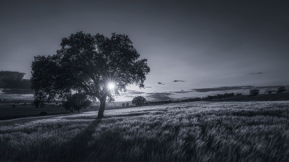 Photograph by Alberto Alonso