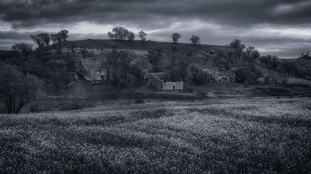 Photograph by Alberto Alonso