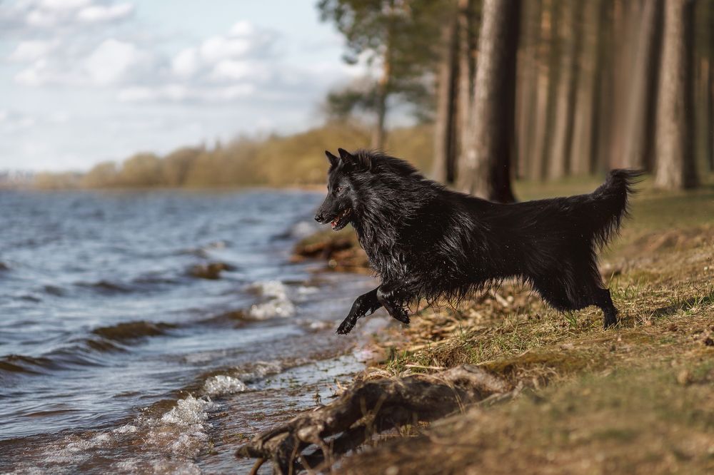 Фотография автора Татьяна Радусь