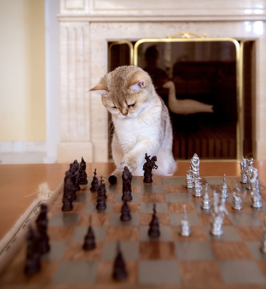 Photograph by Elena Vill