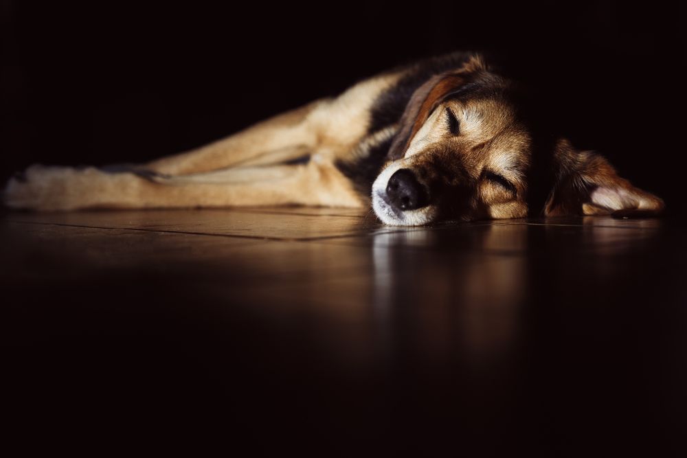 Photograph by Запылаева Анна