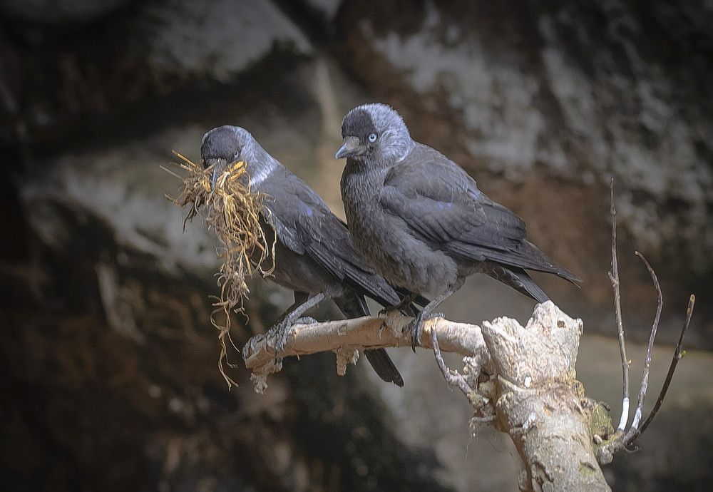 Photograph by Татьяна Колногоров