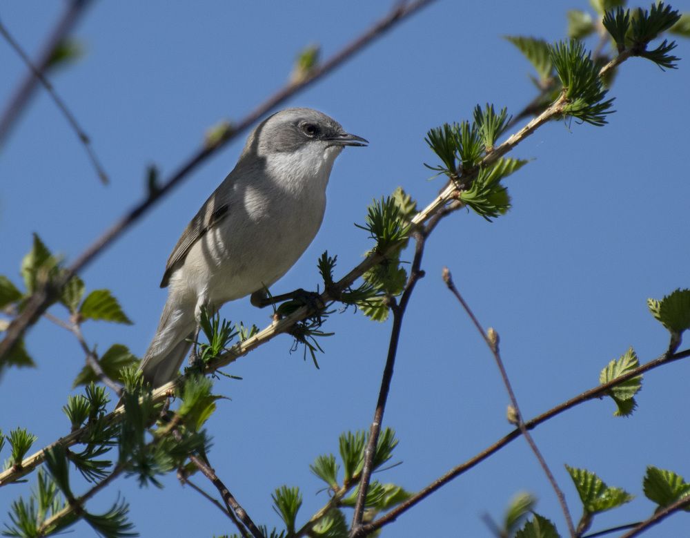 Photograph by Эльвира Быкова