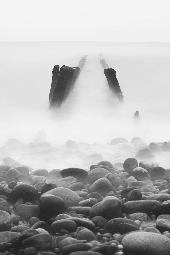 Photograph by 