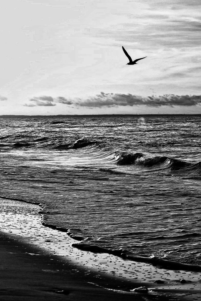 Photograph by 