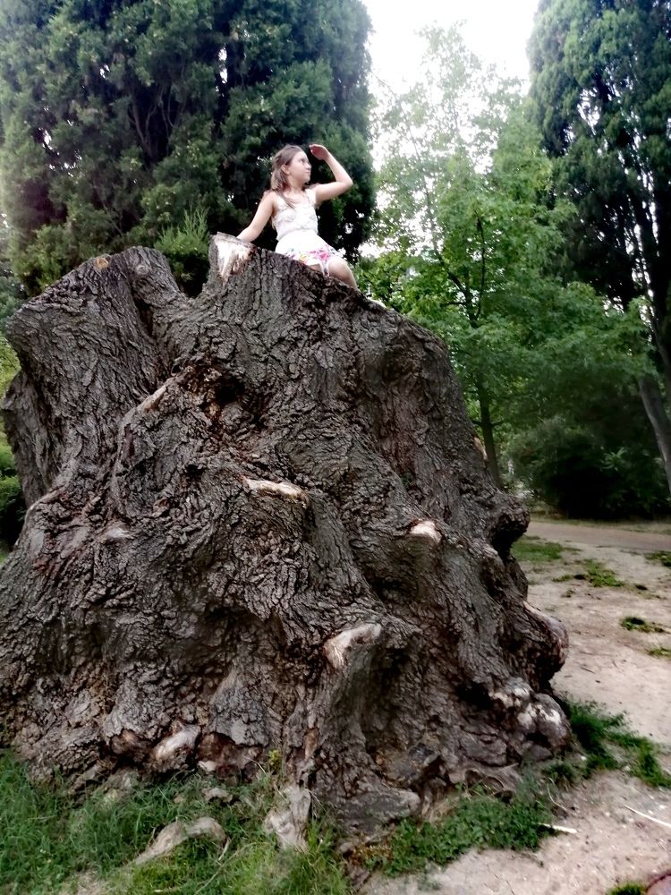 Высоко сижу - далеко гляжу))